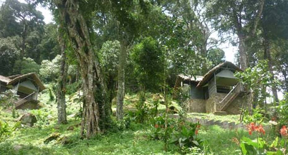 Rhythms Of My Mind, Munnar 5